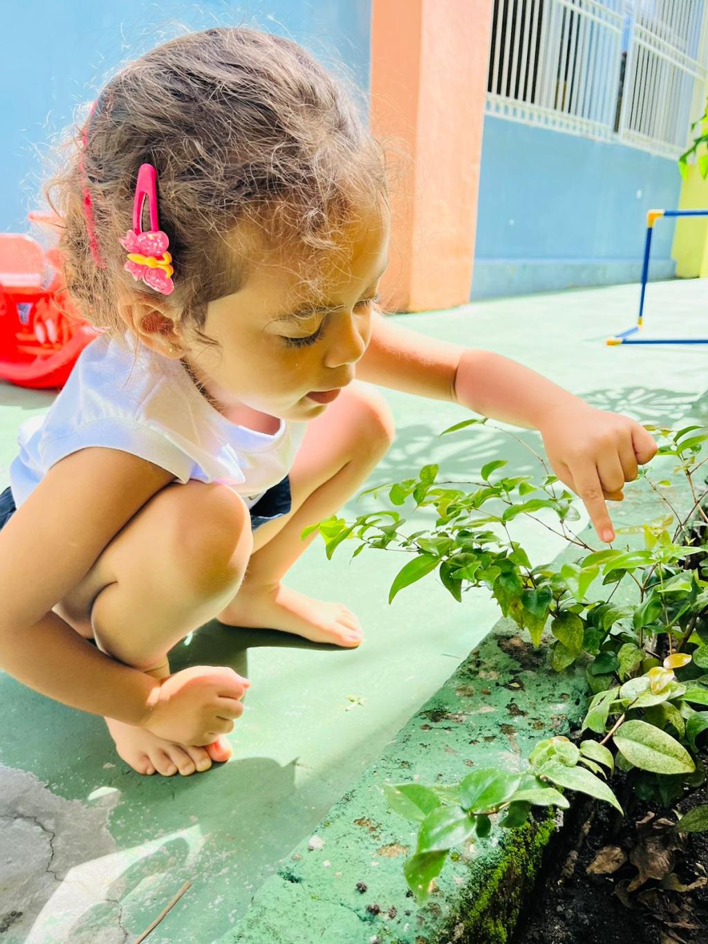 As atividades na horta são projetadas para ser interativas e educativas. As atividades na horta são projetadas para ser interativas e educativas.