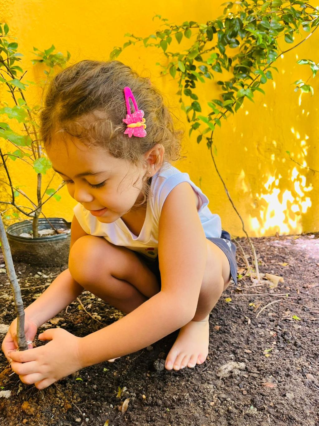 As atividades na horta são projetadas para ser interativas e educativas. As atividades na horta são projetadas para ser interativas e educativas.