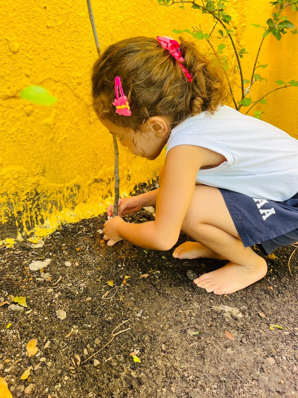 As atividades na horta são projetadas para ser interativas e educativas. As atividades na horta são projetadas para ser interativas e educativas.
