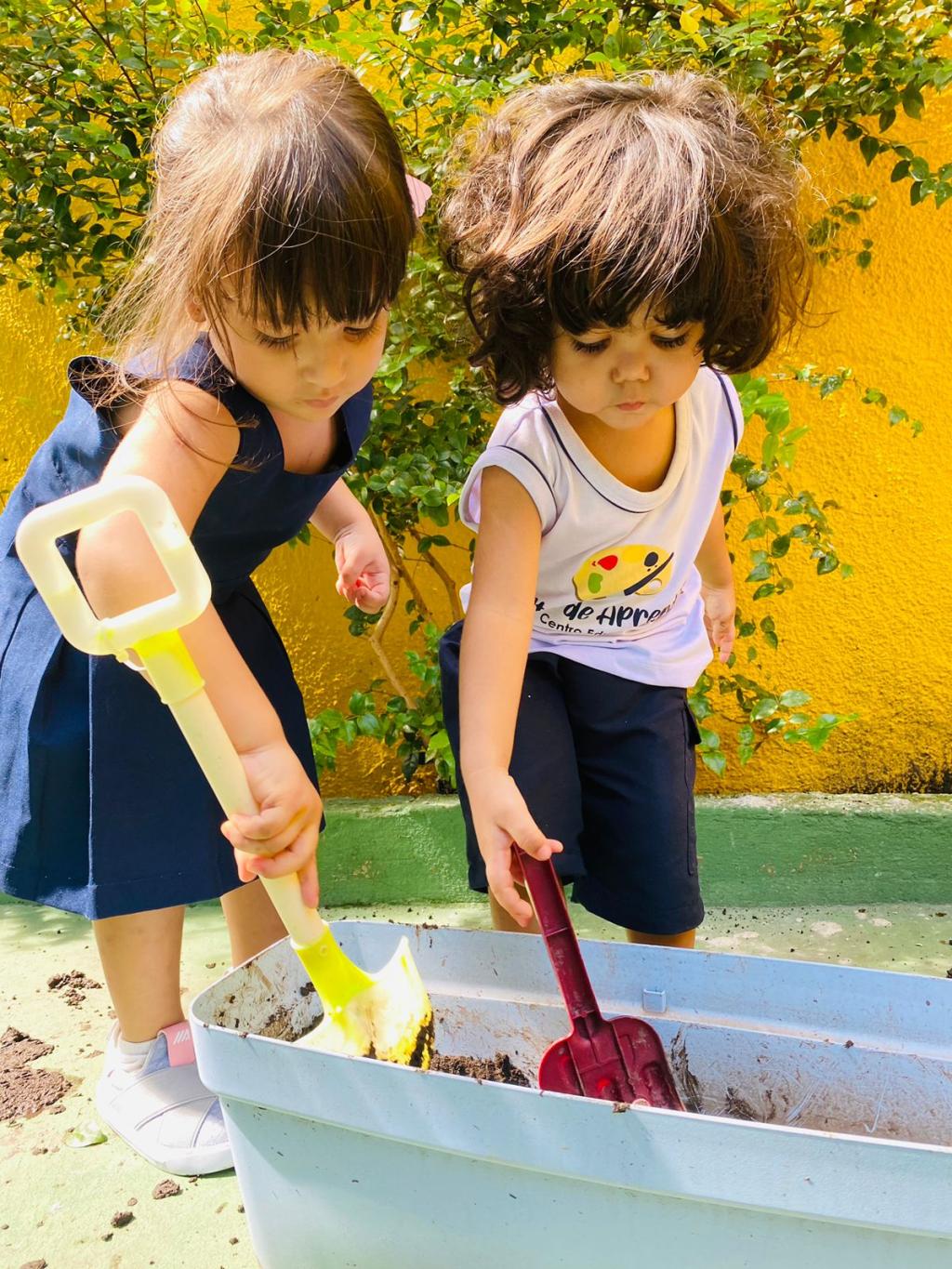 As atividades na horta são projetadas para ser interativas e educativas. As atividades na horta são projetadas para ser interativas e educativas.