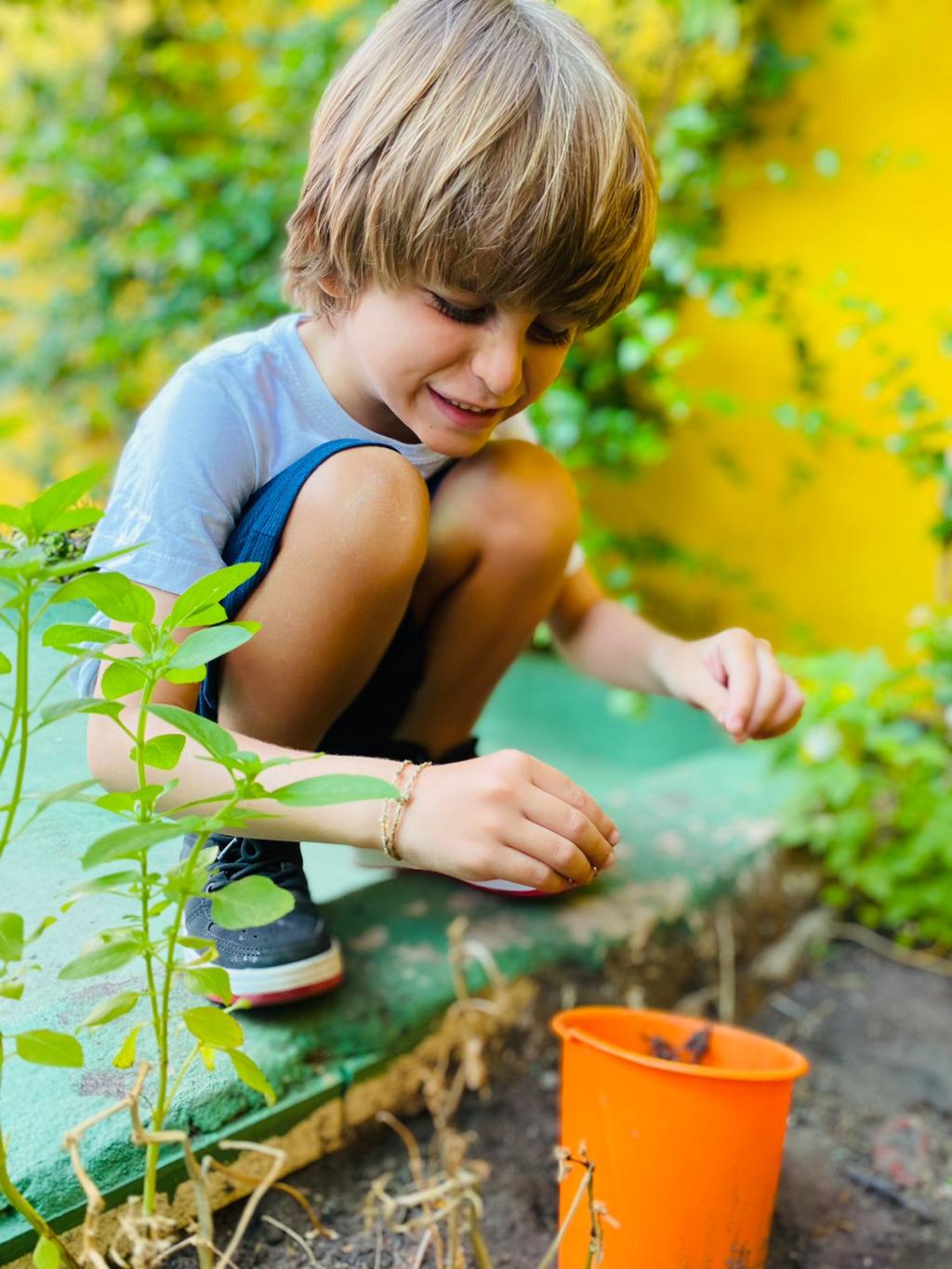 As atividades na horta são projetadas para ser interativas e educativas. As atividades na horta são projetadas para ser interativas e educativas.