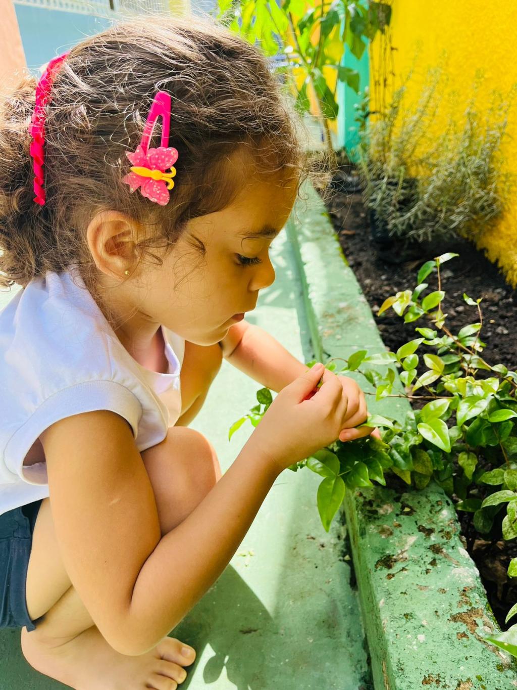 As atividades na horta são projetadas para ser interativas e educativas. As atividades na horta são projetadas para ser interativas e educativas.
